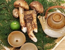 Roppongi INAKAYA EAST Japan Best Restaurant