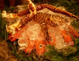 Roppongi INAKAYA EAST Japan Best Restaurant