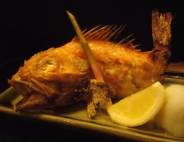 Roppongi INAKAYA EAST Japan Best Restaurant