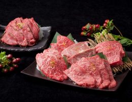 Beef Professional Japan Best Restaurant
