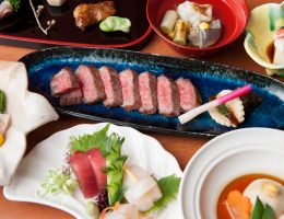 SWANLAKE Pub Edo Ginza- Ikarashitei Japan Best Restaurant