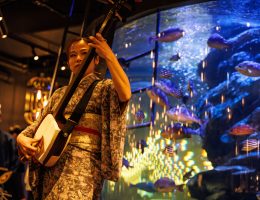 海女城 Japan Best Restaurant