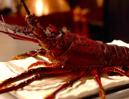 Steakhouse Matsunami Japan Best Restaurant