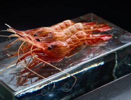 Oda Japan Best Restaurant