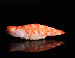 SUSHI RYUMA Japan Best Restaurant