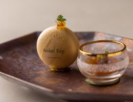 Amber Trip Japan Best Restaurant