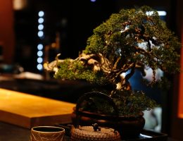 J roppongi Japan Best Restaurant